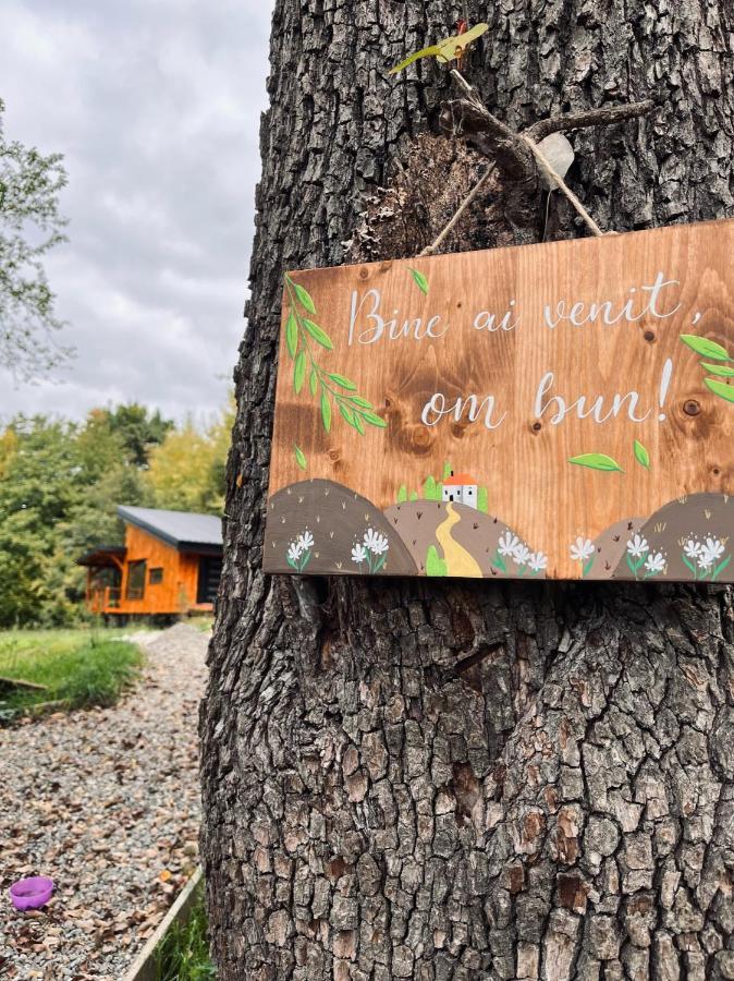Moodysun Studio, Remote Tiny Home Комарнік Екстер'єр фото